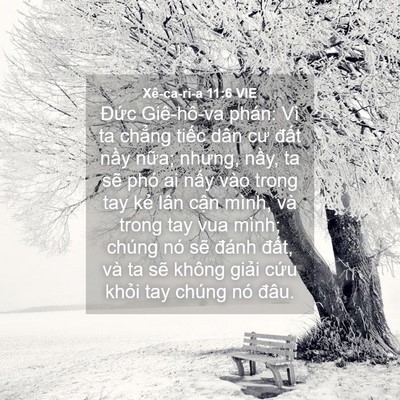 Picture 04 - Xê-ca-ri-a 11:6 VIE - Đức Giê-hô-va phán: Vì ta chẳng tiếc - Bible Verse Picture