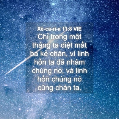 Picture 04 - Xê-ca-ri-a 11:8 VIE - Chỉ trong một tháng ta diệt mất ba kẻ - Bible Verse Picture