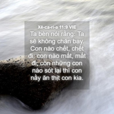 Picture 04 - Xê-ca-ri-a 11:9 VIE - Ta bèn nói rằng: Ta sẽ không chăn bay. - Bible Verse Picture