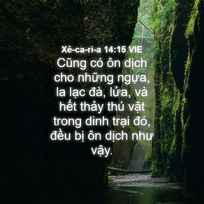Picture 04 - Xê-ca-ri-a 14:15 VIE - Cũng có ôn dịch cho những ngựa, la lạc - Bible Verse Picture