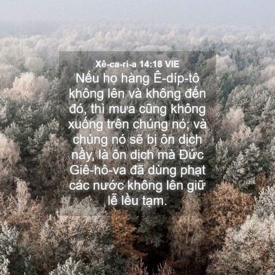 Picture 04 - Xê-ca-ri-a 14:18 VIE - Nếu họ hàng Ê-díp-tô không lên và - Bible Verse Picture