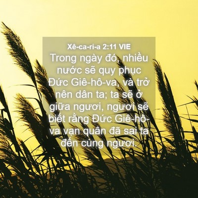 Picture 04 - Xê-ca-ri-a 2:11 VIE - Trong ngày đó, nhiều nước sẽ quy phục - Bible Verse Picture