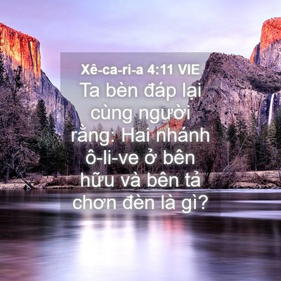 Picture 04 - Xê-ca-ri-a 4:11 VIE - Ta bèn đáp lại cùng người rằng: Hai - Bible Verse Picture