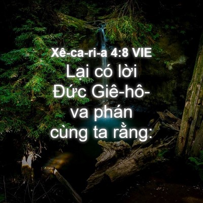 Picture 04 - Xê-ca-ri-a 4:8 VIE - Lại có lời Đức Giê-hô-va phán cùng ta - Bible Verse Picture
