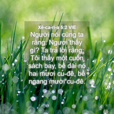 Picture 04 - Xê-ca-ri-a 5:2 VIE - Người nói cùng ta rằng: Ngươi thấy - Bible Verse Picture