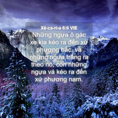 Picture 04 - Xê-ca-ri-a 6:6 VIE - Những ngựa ô gác xe kia kéo ra đến xứ - Bible Verse Picture