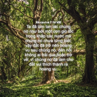 Picture 04 - Xê-ca-ri-a 7:14 VIE - Ta đã làm tan tác chúng nó như bởi một - Bible Verse Picture
