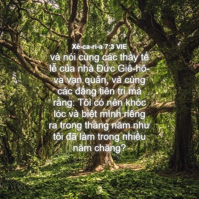 Picture 04 - Xê-ca-ri-a 7:3 VIE - và nói cùng các thầy tế lễ của nhà - Bible Verse Picture