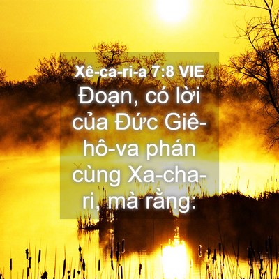 Picture 04 - Xê-ca-ri-a 7:8 VIE - Đoạn, có lời của Đức Giê-hô-va phán - Bible Verse Picture