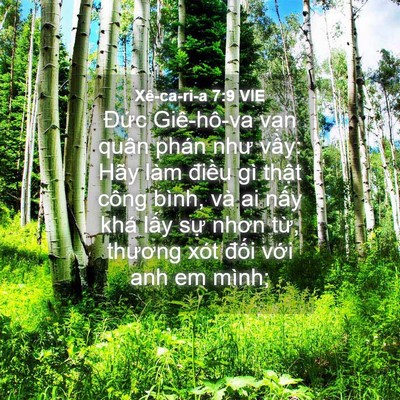 Picture 04 - Xê-ca-ri-a 7:9 VIE - Đức Giê-hô-va vạn quân phán như vầy: - Bible Verse Picture