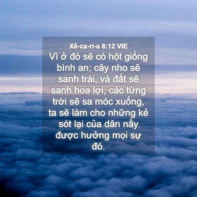 Picture 04 - Xê-ca-ri-a 8:12 VIE - Vì ở đó sẽ có hột giống bình an; - Bible Verse Picture