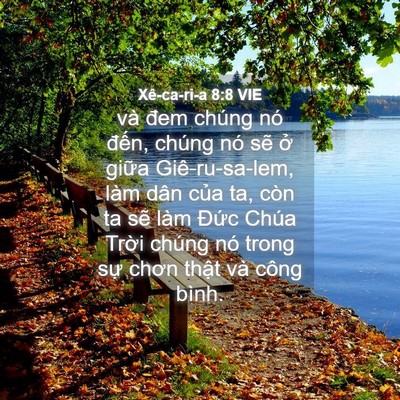 Picture 04 - Xê-ca-ri-a 8:8 VIE - và đem chúng nó đến, chúng nó sẽ ở - Bible Verse Picture