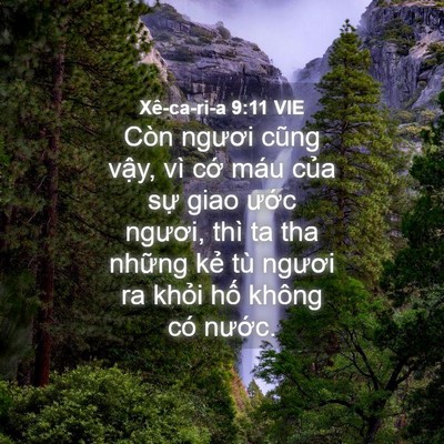 Picture 04 - Xê-ca-ri-a 9:11 VIE - Còn ngươi cũng vậy, vì cớ máu của - Bible Verse Picture