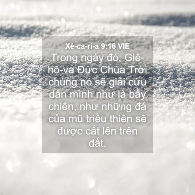 Picture 04 - Xê-ca-ri-a 9:16 VIE - Trong ngày đó, Giê-hô-va Đức Chúa Trời - Bible Verse Picture