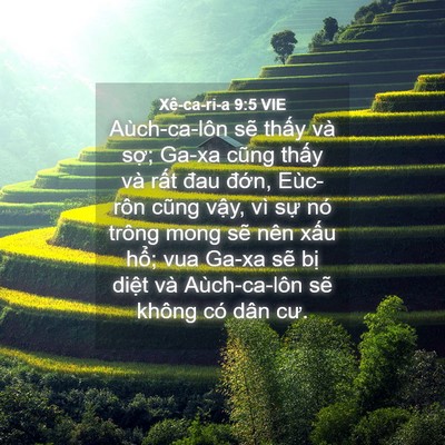 Picture 04 - Xê-ca-ri-a 9:5 VIE - Aùch-ca-lôn sẽ thấy và sợ; Ga-xa cũng - Bible Verse Picture