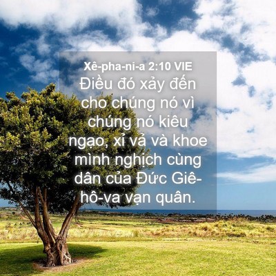 Picture 04 - Xê-pha-ni-a 2:10 VIE - Điều đó xảy đến cho chúng nó vì - Bible Verse Picture