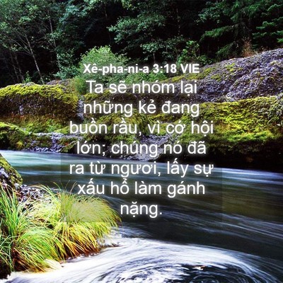 Picture 04 - Xê-pha-ni-a 3:18 VIE - Ta sẽ nhóm lại những kẻ đang buồn - Bible Verse Picture