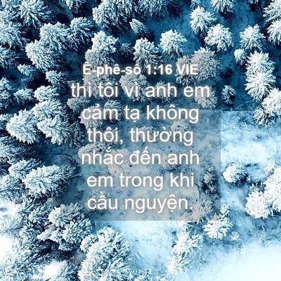 Picture 04 - Ê-phê-sô 1:16 VIE - thì tôi vì anh em cảm tạ không thôi, - Bible Verse Picture