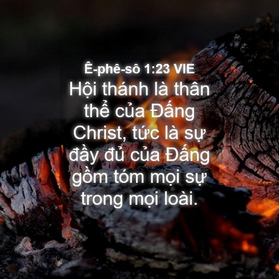 Picture 04 - Ê-phê-sô 1:23 VIE - Hội thánh là thân thể của Đấng - Bible Verse Picture