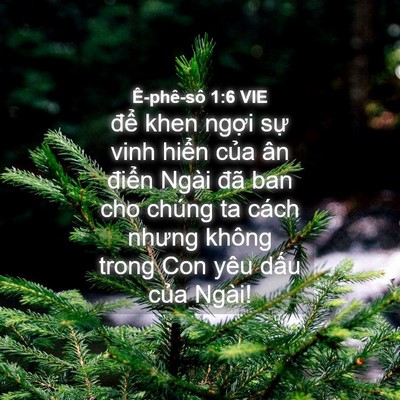 Picture 04 - Ê-phê-sô 1:6 VIE - để khen ngợi sự vinh hiển của ân - Bible Verse Picture