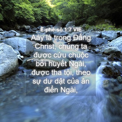 Picture 04 - Ê-phê-sô 1:7 VIE - Aáy là trong Đấng Christ, chúng ta được - Bible Verse Picture