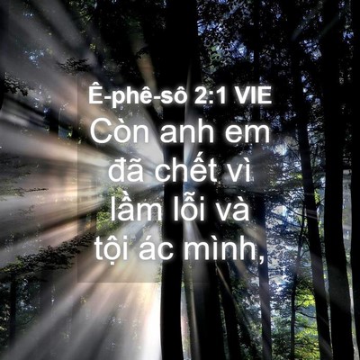 Picture 04 - Ê-phê-sô 2:1 VIE - Còn anh em đã chết vì lầm lỗi và tội - Bible Verse Picture
