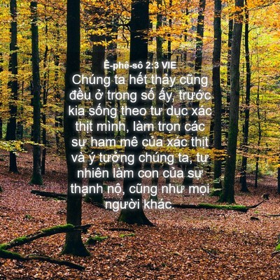 Picture 04 - Ê-phê-sô 2:3 VIE - Chúng ta hết thảy cũng đều ở trong - Bible Verse Picture