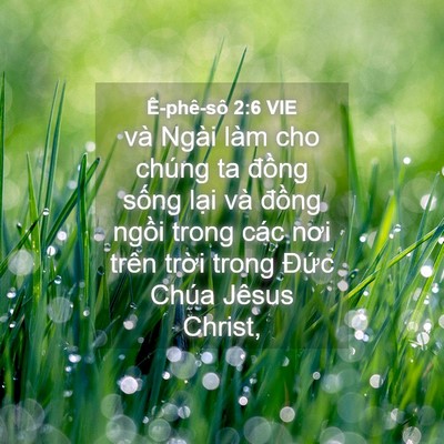 Picture 04 - Ê-phê-sô 2:6 VIE - và Ngài làm cho chúng ta đồng sống lại - Bible Verse Picture