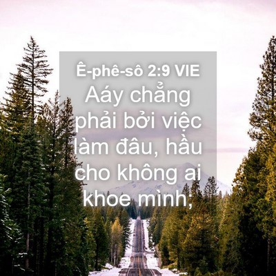 Picture 04 - Ê-phê-sô 2:9 VIE - Aáy chẳng phải bởi việc làm đâu, - Bible Verse Picture