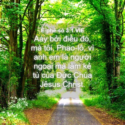 Picture 04 - Ê-phê-sô 3:1 VIE - Aáy bởi điều đó, mà tôi, Phao-lô, vì - Bible Verse Picture