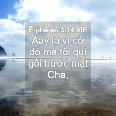 Picture 04 - Ê-phê-sô 3:14 VIE - Aáy là vì cớ đó mà tôi quì gối - Bible Verse Picture
