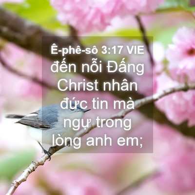 Picture 04 - Ê-phê-sô 3:17 VIE - đến nỗi Đấng Christ nhân đức tin mà - Bible Verse Picture