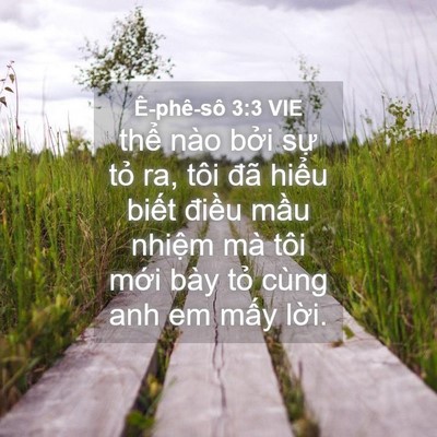 Picture 04 - Ê-phê-sô 3:3 VIE - thể nào bởi sự tỏ ra, tôi đã hiểu - Bible Verse Picture