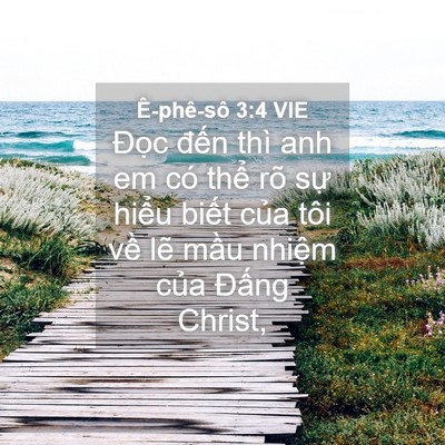 Picture 04 - Ê-phê-sô 3:4 VIE - Đọc đến thì anh em có thể rõ sự - Bible Verse Picture