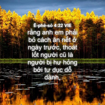 Picture 04 - Ê-phê-sô 4:22 VIE - rằng anh em phải bỏ cách ăn nết ở - Bible Verse Picture