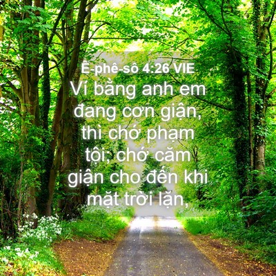 Picture 04 - Ê-phê-sô 4:26 VIE - Ví bằng anh em đang cơn giận, thì chớ - Bible Verse Picture