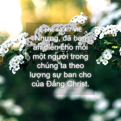 Picture 04 - Ê-phê-sô 4:7 VIE - Nhưng, đã ban ân điển cho mỗi một - Bible Verse Picture