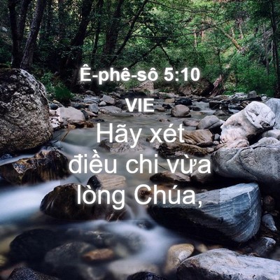 Picture 04 - Ê-phê-sô 5:10 VIE - Hãy xét điều chi vừa lòng - Bible Verse Picture