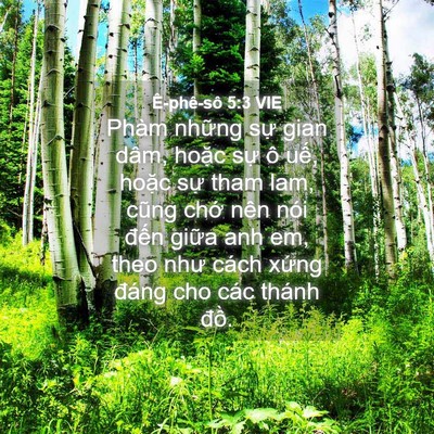 Picture 04 - Ê-phê-sô 5:3 VIE - Phàm những sự gian dâm, hoặc sự ô - Bible Verse Picture