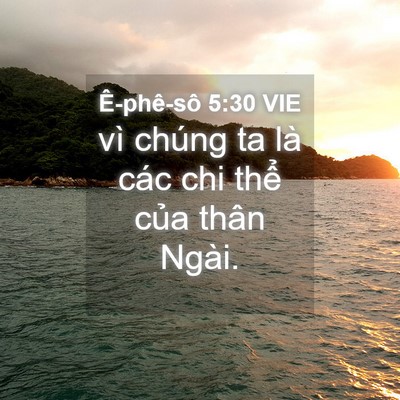 Picture 04 - Ê-phê-sô 5:30 VIE - vì chúng ta là các chi thể của thân - Bible Verse Picture