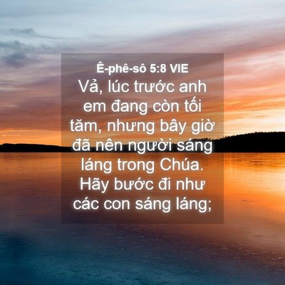 Picture 04 - Ê-phê-sô 5:8 VIE - Vả, lúc trước anh em đang còn tối tăm, - Bible Verse Picture