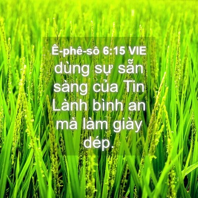 Picture 04 - Ê-phê-sô 6:15 VIE - dùng sự sẵn sàng của Tin Lành bình an - Bible Verse Picture