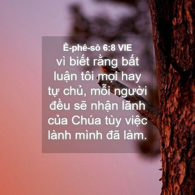 Picture 04 - Ê-phê-sô 6:8 VIE - vì biết rằng bất luận tôi mọi hay - Bible Verse Picture