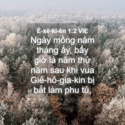 Picture 04 - Ê-xê-ki-ên 1:2 VIE - Ngày mồng năm tháng ấy, bấy giờ là - Bible Verse Picture