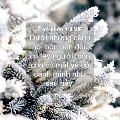 Picture 04 - Ê-xê-ki-ên 1:8 VIE - Dưới những cánh nó, bốn bên đều có - Bible Verse Picture