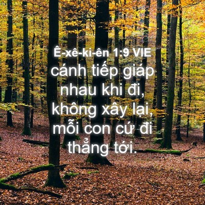 Picture 04 - Ê-xê-ki-ên 1:9 VIE - cánh tiếp giáp nhau khi đi, không xây - Bible Verse Picture