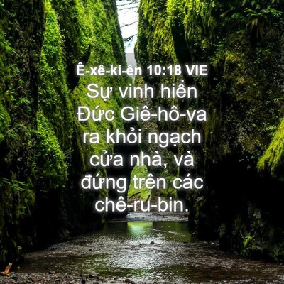 Picture 04 - Ê-xê-ki-ên 10:18 VIE - Sự vinh hiển Đức Giê-hô-va ra khỏi - Bible Verse Picture