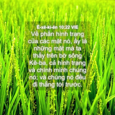 Picture 04 - Ê-xê-ki-ên 10:22 VIE - Về phần hình trạng của các mặt nó, - Bible Verse Picture