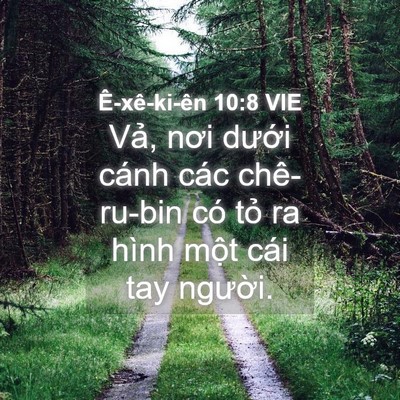 Picture 04 - Ê-xê-ki-ên 10:8 VIE - Vả, nơi dưới cánh các chê-ru-bin có - Bible Verse Picture