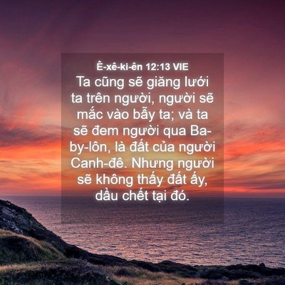 Picture 04 - Ê-xê-ki-ên 12:13 VIE - Ta cũng sẽ giăng lưới ta trên người, - Bible Verse Picture